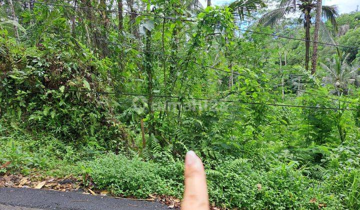 PASTI CLOSING DI JUAL TANAH VIEW SUNGAI & HUTAN LOKASI TEGALLALANG UBUD GIANYAR
 1