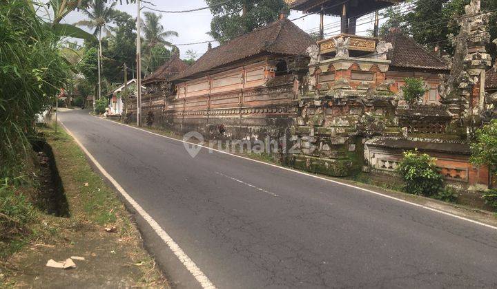 PASTI CLOSING DI JUAL TANAH VIEW SAWAH LOKASI TEGALLALANG UBUD GIANYAR
 2