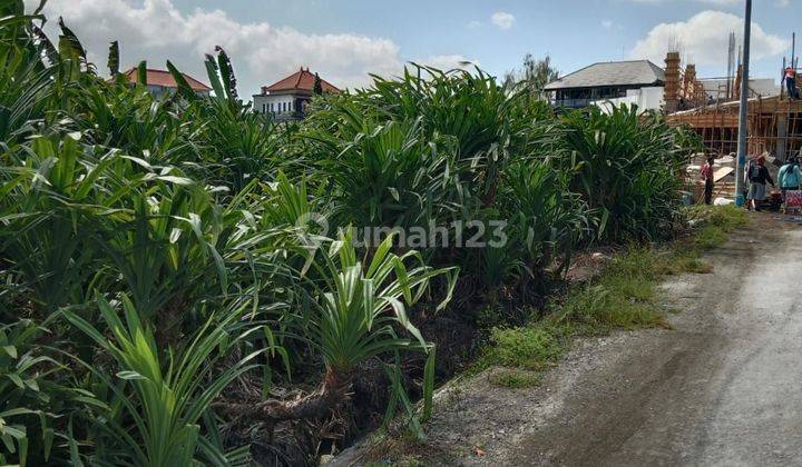 CERTAINLY CLOSED FOR RENT LAND IN TUMBAK BAYUH CANGGU NORTH KUTA BADUNG LOCATION 2