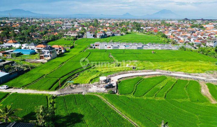 PASTI CLOSING DI JUAL TANAH VIEW SAWAH LOKASI BERNASI BUDUK DALUNG BADUNG
 1