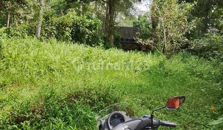 Pasti Closing Di Jual Tanah View Hutan & Sungai Lokasi Pejeng Kaja Ubud Gianyar