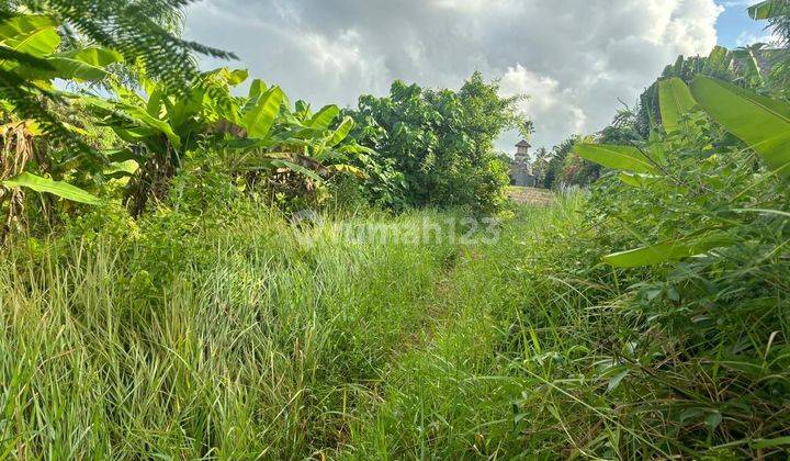 PASTI CLOSING DI JUAL TANAH LOKASI PERERENAN CANGGU KUTA UTARA BADUNG
 2