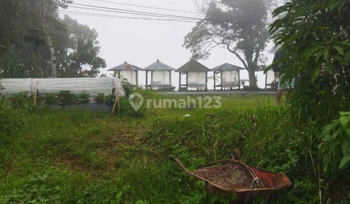 PASTI CLOSING DI JUAL TANAH VIEW LAUT & DANAU LOKASI WANAGIRI SUKASADA BULELENG
 1