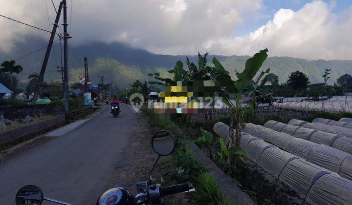 SURELY CLOSED FOR SALE LAND AT THE LOCATION OF KUNING TEMPLE BEDUGUL TABANAN 1