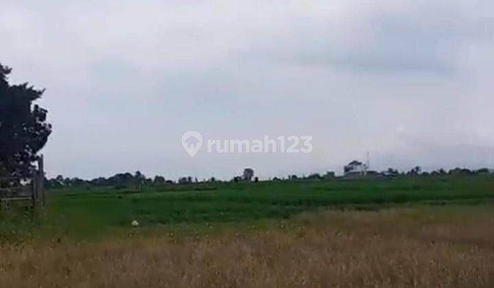 PASTI CLOSING DI JUAL TANAH LOKASI KELATING KERAMBITAN TABANAN 2