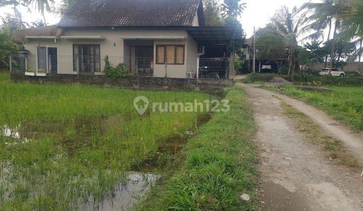 PASTI CLOSING DI SEWAKAN TANAH LOKASI TEGALLALANG UBUD GIANYAR 2