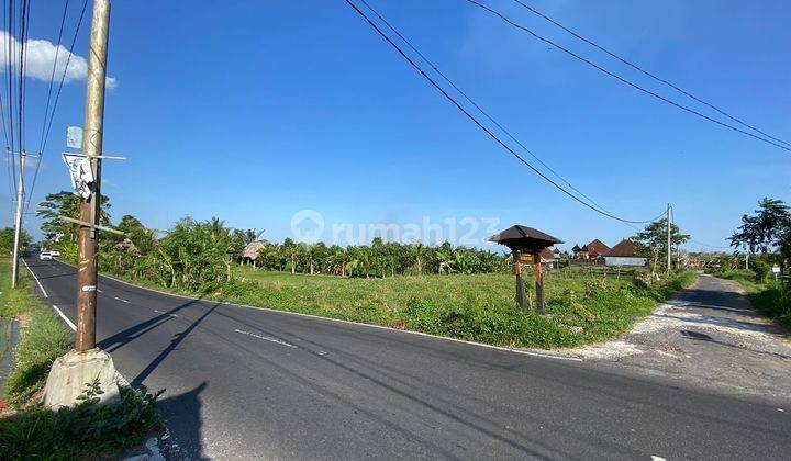 PASTI CLOSING DI JUAL TANAH PINGGIR JALAN UTAMA LOKASI SIBANG GEDE ABIANSEMAL BADUNG 2