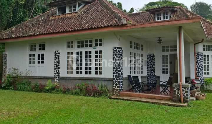 Strategic Land & Villa At Puncak Pass, Prime Roadside Location Ideal For Investment & Tourism Strategic Land & Villa At Puncak Pass, Prime Roadside Location Ideal For Investment & Tourism