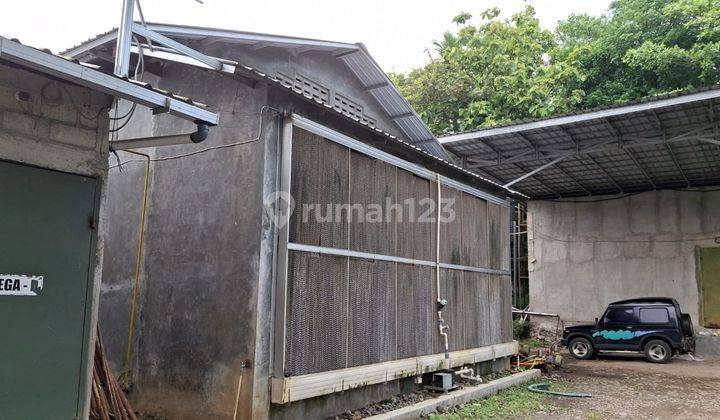 Dijual Ruang Usaha Peternakan di Temanggung Jawa Tengah 2