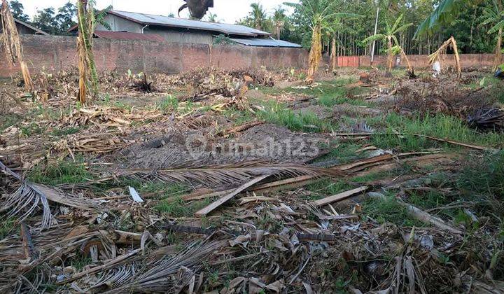 Dijual Tanah di daerah Lovina, banjar kaliAsem, Buleleng BALI 2