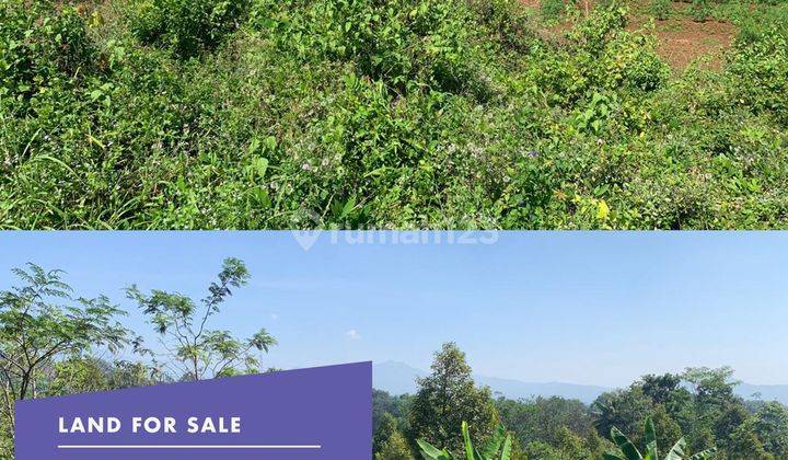 Tanah Luas dan Cocok Untuk Bangun Perumahan di Cibinong Hilir Cianjur, Jawa Barat 1