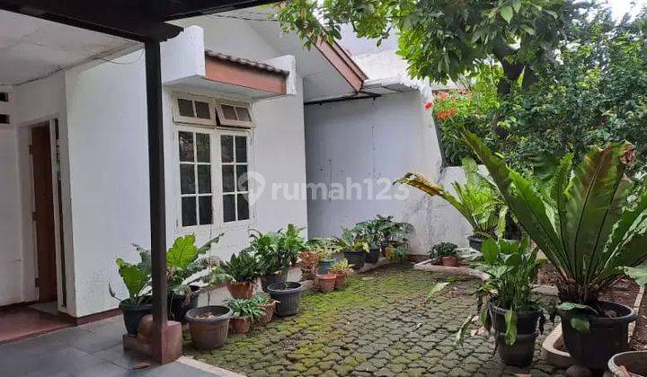 Rumah Asri Dan Tanah Luas Di Pondok Bambu Jakarta Timur