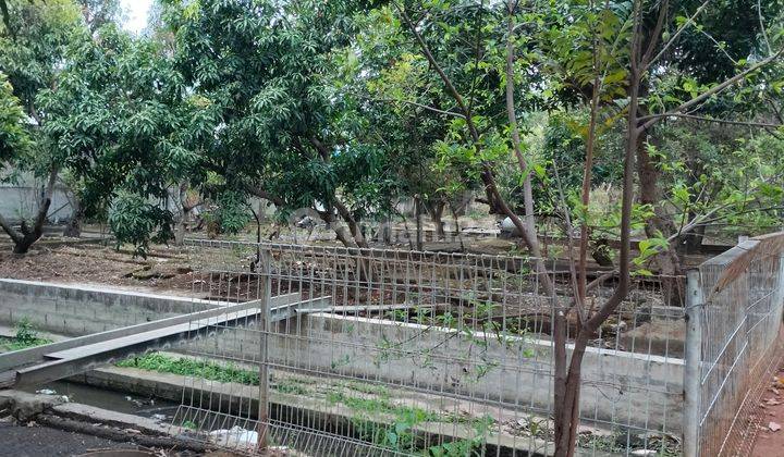 foto lainnya tanah area industri cengkareng jakarta