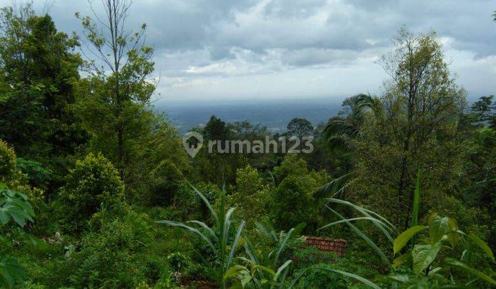 Lahan Kebun Produktip Strategis Pinggir Jalan 1