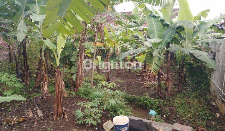 tanah kosong leter L dalam gang prospek buat kost 2