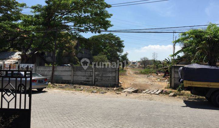 Disewakan Tanah Gresik Dekat Pintu Tol Dekat Teluk Lamong  2