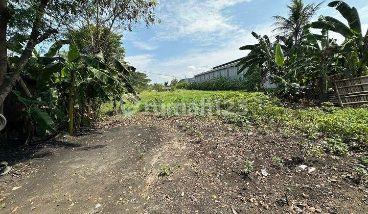 Dijual Tanah Lahan Strategis. Jl. Serang Raya. Desa Sumur Bandung. Kec. Jayanti. Tangerang. Shm Ajb. Utara. Bagus. Murah. Harga Kompetitif.