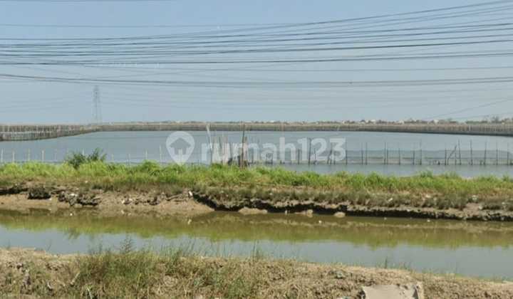 Dijual Tanah Zona Industri Pinggir Jalan Raya Sayung Demak