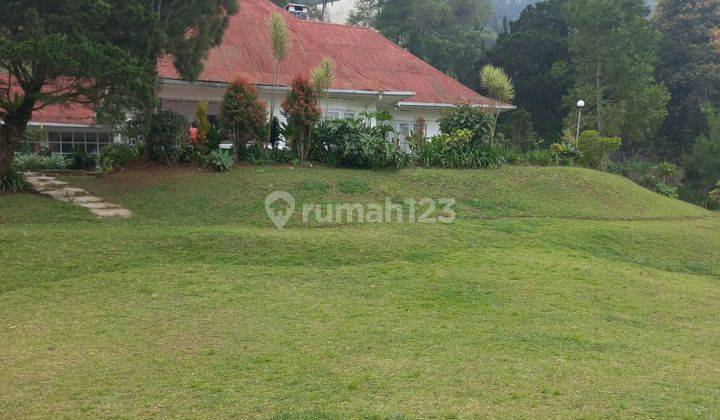 Dijual Vila Bagus Terawat Di Puncak Dengan Harga Mendekati Njop 2