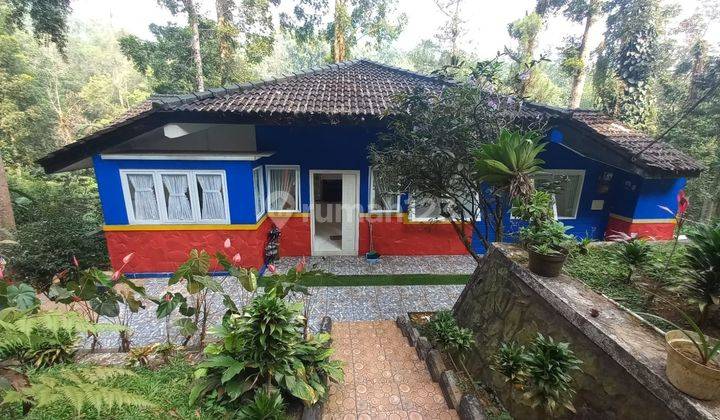 Villa 3 Lantai Di Tepi Hutan Cemara, Mega Indah Villa Estate 2