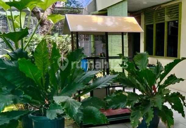 Rumah Posisi Hook Strategis di Jantung Jakarta Pusat - Cocok untuk Usaha atau Rumah Kost Komersial 2