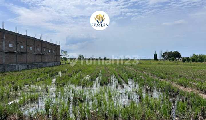 PELUANG INVESTASI EMAS! Dapatkan lahan super strategis untuk berbagai keperluan bisnis atau investasi Anda PELUANG INVESTASI EMAS! Dapatkan lahan super strategis untuk berbagai keperluan bisnis atau investasi Anda