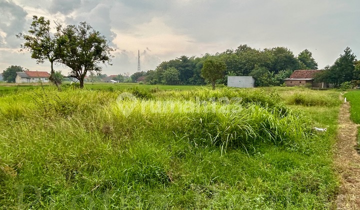 Dijual Tanah Bekas Sawah di Kedawung Cirebon