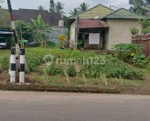 Shm Land Paniki Atas Shm Land Paniki Atas