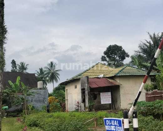 Shm Land Paniki Atas Shm Land Paniki Atas