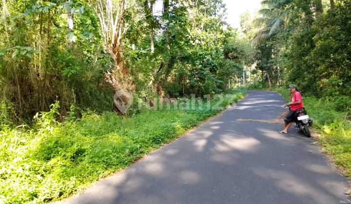 Di Jual Yg Tanah Di Eris 5h 800jt Nego