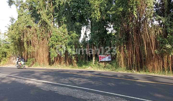 For Sale Land in Front of Pacific Bay, Land Area 2400 For Sale Land in Front of Pacific Bay, Land Area 2400
