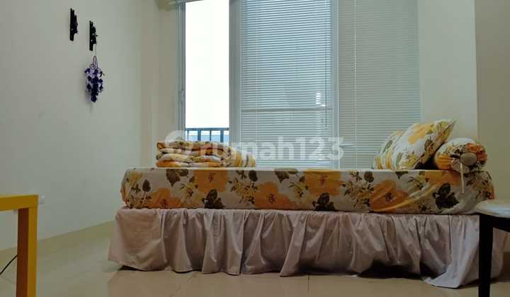For Rent Tree Park BSD Apartment, Studio, Furnished For Rent Tree Park BSD Apartment, Studio, Furnished