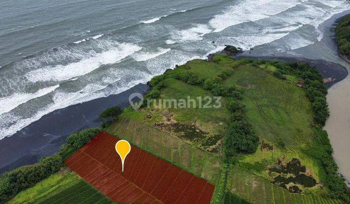 Dijual Tanah 79 Are Los Pantai Kelating Kerambitan Df 2518 1