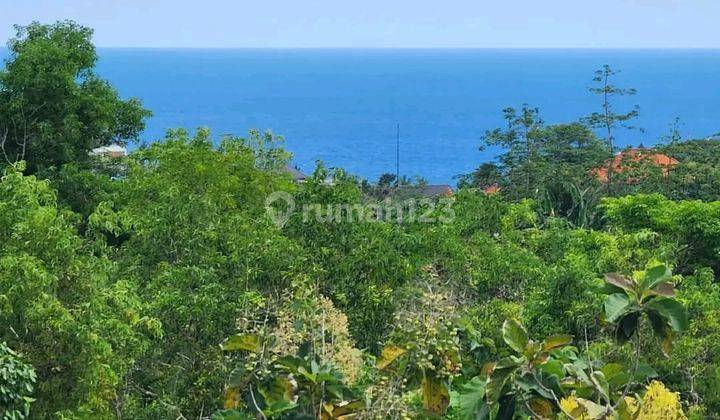 Dijual Tanah 1 Hectar Jln Tunjung,ungasan,bali Sh 2497 2