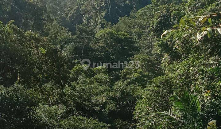 Land for sale at Los Sungai 18 Are Bedulu Goa Gajah, Ubud Ij 2343 2