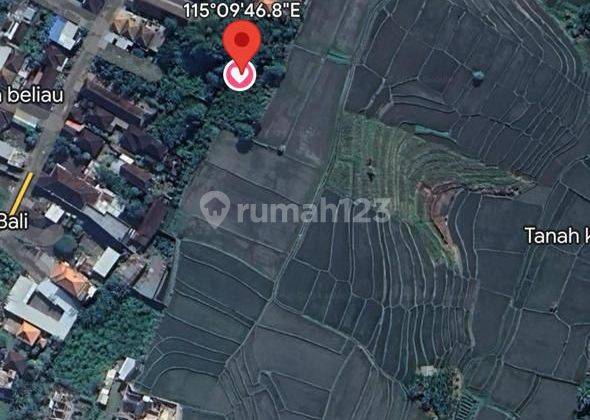 Land for Rent 7.68 Are Buduk, Mengwi, Badung Bali Kk 2340 2