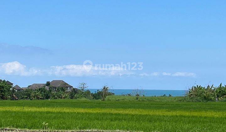 Land for sale 33 Are on Yeh Gangga Beach Tabanan Sh 2431 2