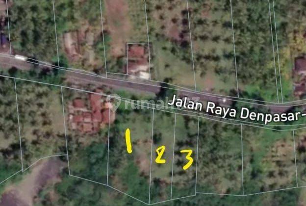 Tanah datar los pantai Pekutatan boleh ambil 1230 m2 1