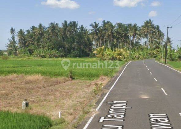 Tanah View Sawah Di Kedungu Tabanan Bali, Shm, Dekat Ciputra 2