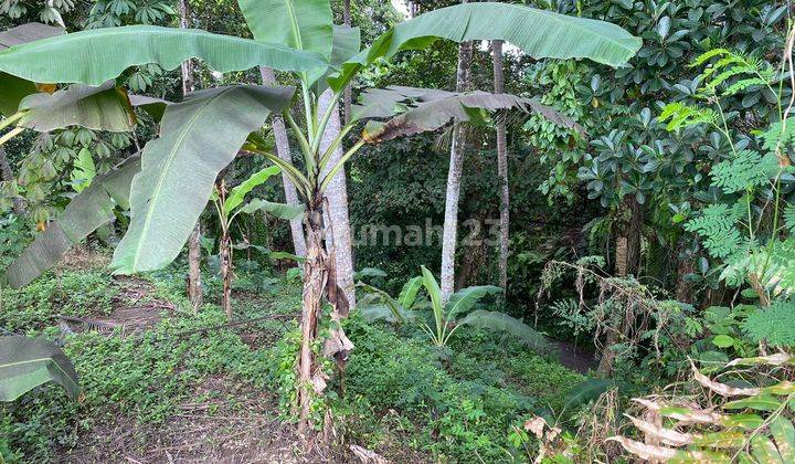 tanah kawasan villa mewah di Ubud, kontur datar, akses jalan 4 meter 2