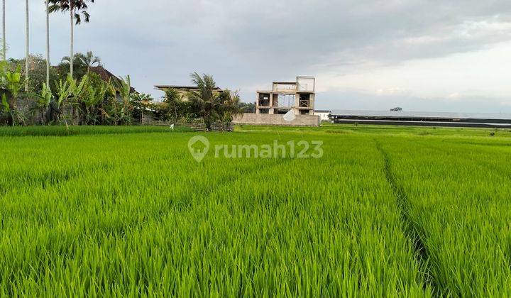 Tanah View Sawah Strategis Di Kedungu Tabanan Bali, Shm Lengkap 2