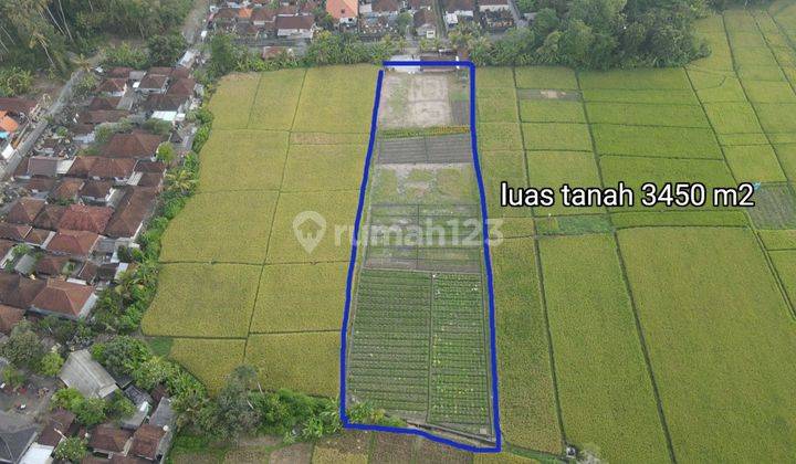 Tanah kontur datar full view hamparan sawah di Kelating, Tabanan 2