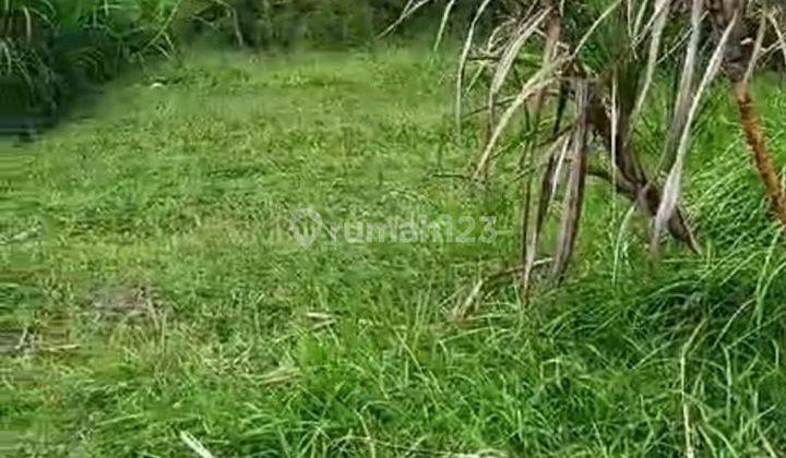 Small land with rice field view in Ubud, 4 meter road access 2