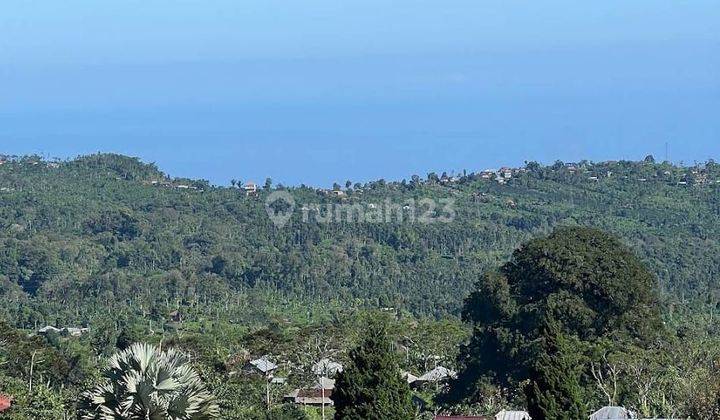 Tanah full view laut di jalan danau buyan Bedugul, Akses jalan 5 meter 1