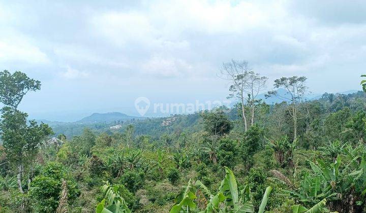 Tanah full view laut di jalan danau buyan Bedugul, Akses jalan 5 meter 2