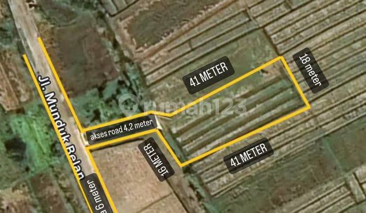 Tanah View Sawah Dan Sunset Dekat Pantai Seseh Bali Tanah View Sawah Dan Sunset Dekat Pantai Seseh Bali