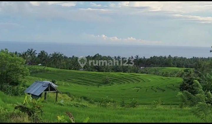 Tanah Impian Anda! View Laut, Sawah & Gunung Di Tabanan 1