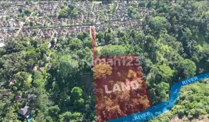 Riverbank Forest View Land in Ubud Suitable for Resort
