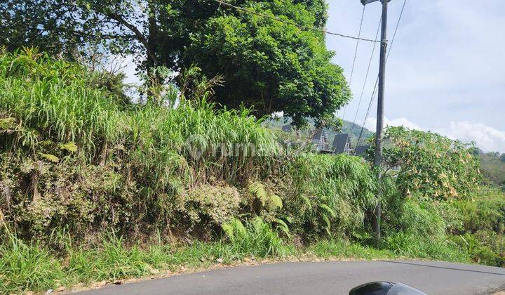 High flat contour land, beautiful environment in Buleleng, 6 meter asphalt road access 2