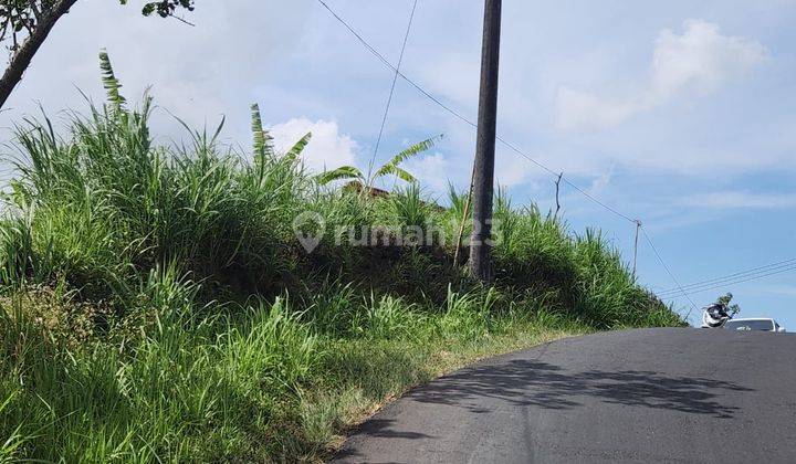 Land suitable for private or commercial villas, 6 meter road access 2